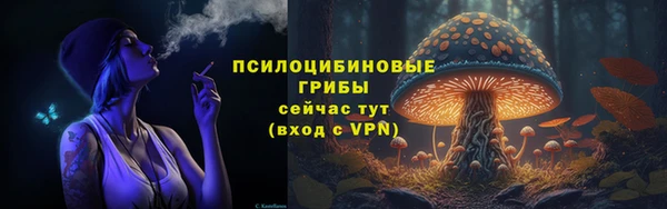 кокс Баксан