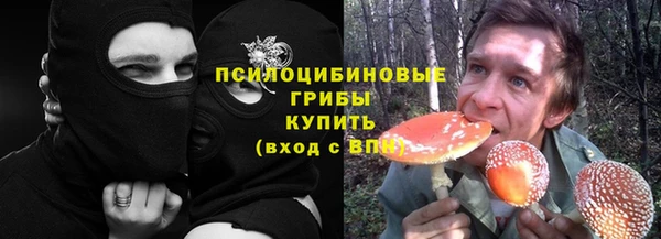кокс Баксан